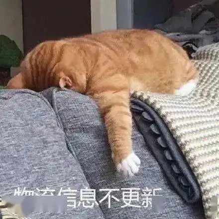  ynuer,今天你理性消费了吗