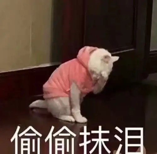  议论文素材