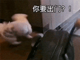 100个抖音超火表情包漂亮的女孩子,连胸都是a 100个抖音超火表情包漂亮的女孩子,连胸都是a