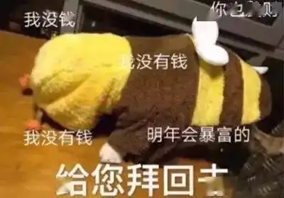  别只知道喝rio了这些微醺饮料好喝好看聚会小酌必备