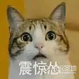  猫咪超怂表情包完整版下载,猫猫怂表情包大全无水印版