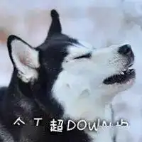  沙雕表情包i有种你来咬我呀