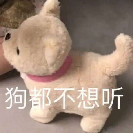  特朗普称福奇博士是灾难,刚收到主人礼物的狗子都笑了