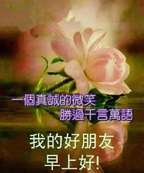  最新的微信聊天不用打字的表情包图片,早上好祝福图片