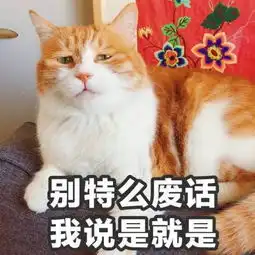  猫星人表情包第十弹