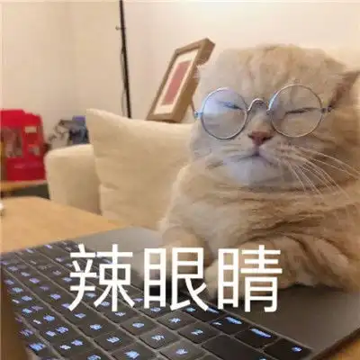  热门可爱的不想加班表情包不想加班的热门聊天表情