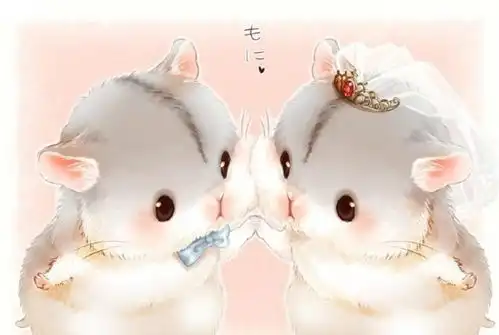  酒醉说超萌手绘小仓鼠,想要来一只么