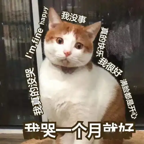  让我安安静静地做一个与世无争的垃圾好不好呀段子