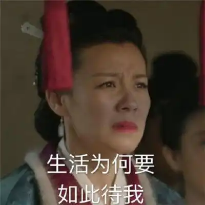  知否知否应是绿肥红瘦表情包大全知否王大娘表情包经典搞笑