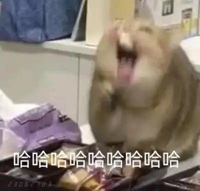  share搞怪沙雕表情包