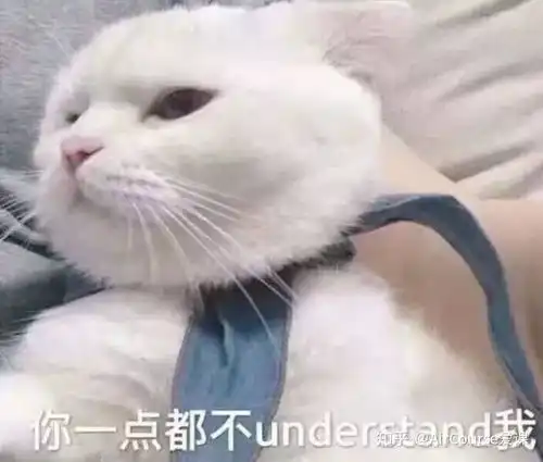 担心表情包猫咪鸭鸭