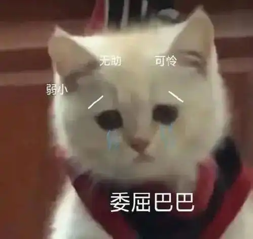  密密麻麻小区飞来300多只蝙蝠,在头上盘旋还冲进家里