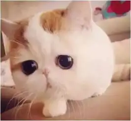  谁这么有才,新学期教师表情包,太像了......笑得肚子疼