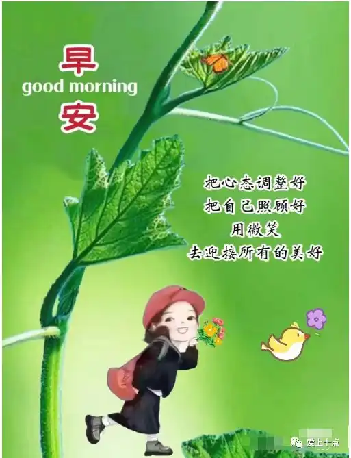  今日最新早上好表情包图片大全,常问候,常牵挂