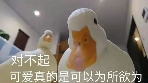  吸猫撸狗养鸭鹅,年轻人花钱求治愈