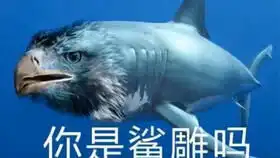  盖伦形状的快乐风男