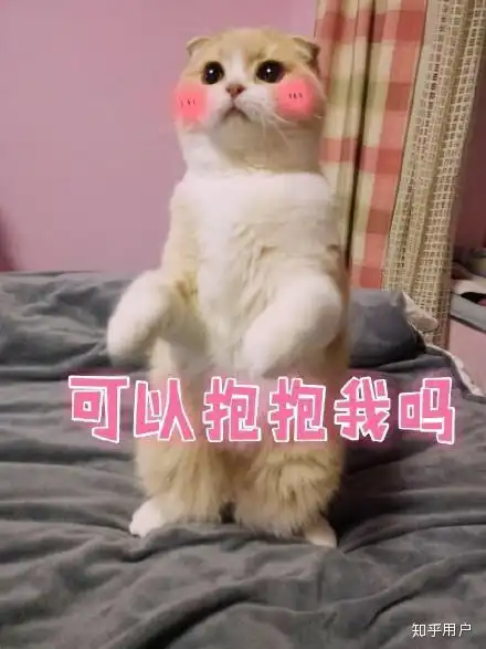  找到一个满眼都是你的女孩子是种什么样的感觉