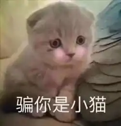  大s把旧口罩给阿雅当礼物引起众怒知道真相后所有人都被种草了...