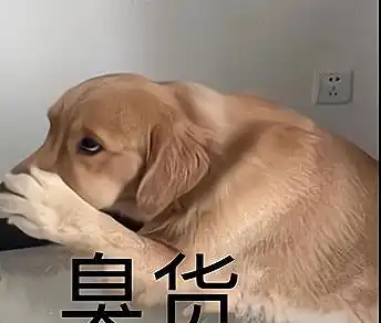  爆笑段子个子矮的男人,居然通过这种方法增高