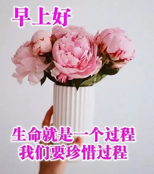 早上好表情包可爱周末