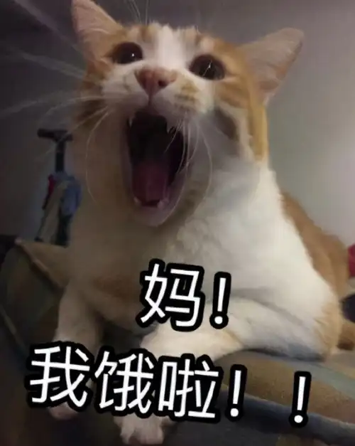  不要喊妈实在解决不了......