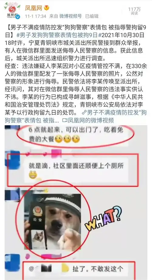  宁夏一男子不满疫情防控发狗狗警察表情包被拘9日,如何从法律角度评价这一处罚结果