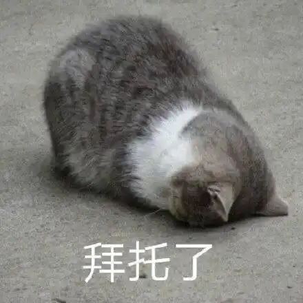  表情包沙雕表情包709期