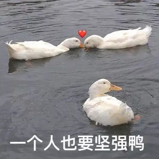  宋慧乔到底经历了啥离婚1年愈发凶光毕现,眼里的杀气都快溢出屏幕了