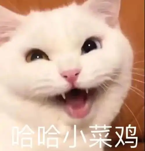  沙雕搞笑表情包