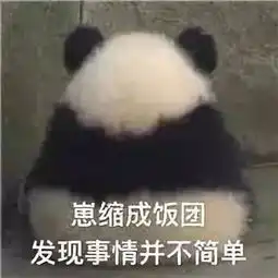  新楼开盘,656套房子,6085个排号,超低中奖率了解下