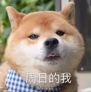  广东早间预报