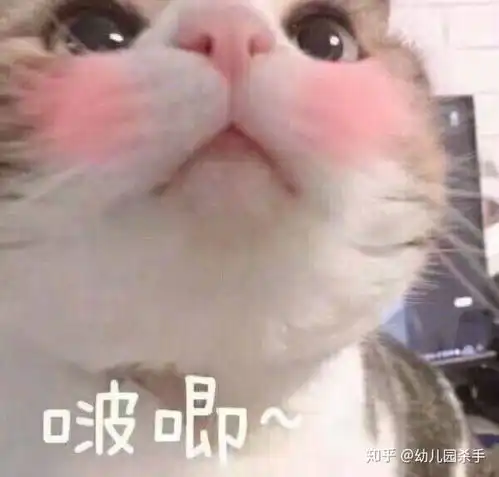 嫌弃我傻了吧唧表情包尔康