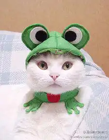  清新自然白合花的微博微博