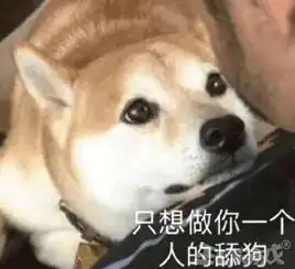  被游戏策划弄成舔狗的角色,勇士救公主,大结局公主说去修水库