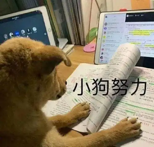  又来一大波学习头像,每天换一张,助你撑到高考
