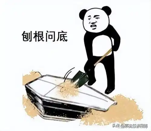 edg是什么意思表情包安