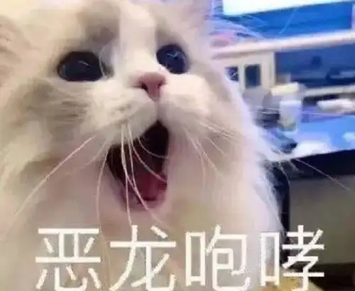  女生撒娇专用表情包今天我就把话放这了,爱不爱我你自己说