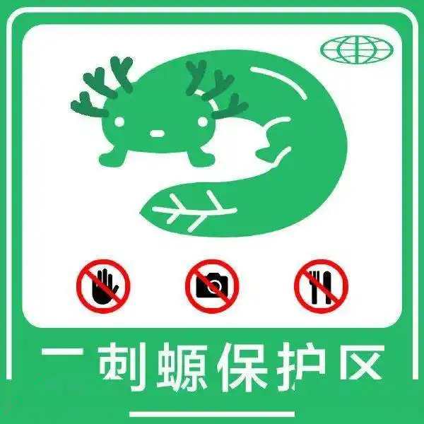 上网人规则标志,建议自学 上网人规则标志,建议自学