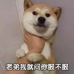  最近热门表情包你怎么回事小老弟你怎么回事小老妹