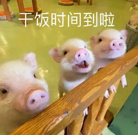  沙雕妹妹的表情包来了,小宝贝们快来保存