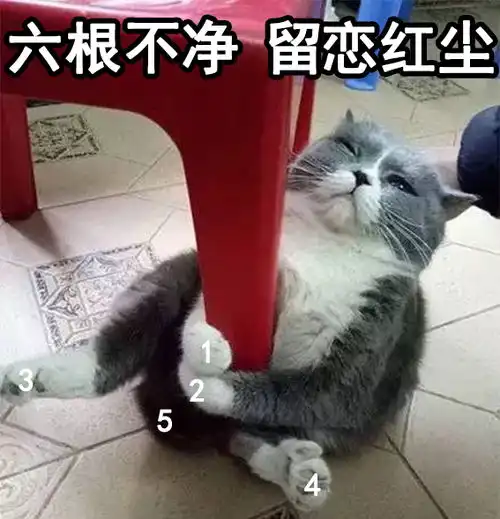  红尘表情包让你们爱啊爱地去酸去吧,我一个狗保持清香就行