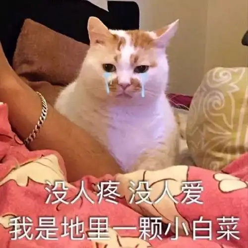 妈妈表情包网红亲妈