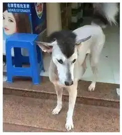  美女们您们这是干嘛呢