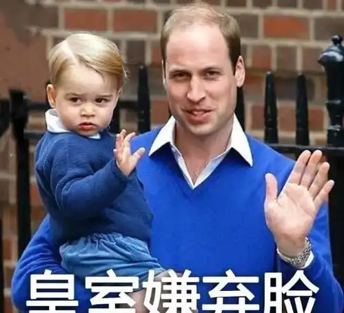 猥琐猫人脸表情包全集普