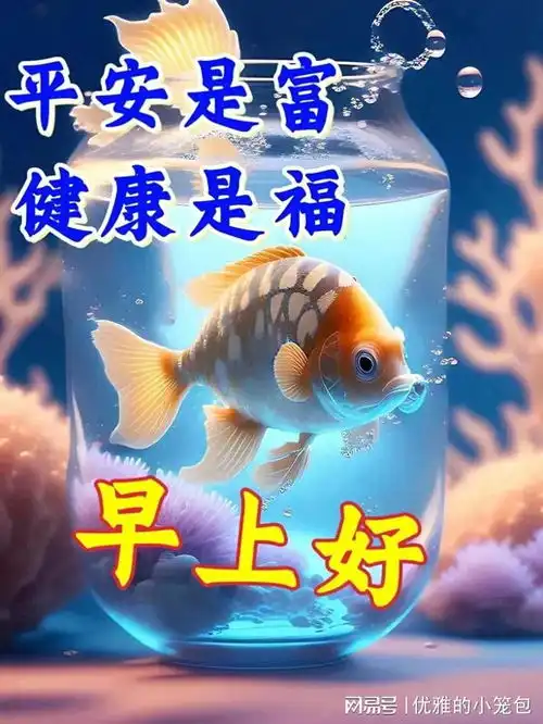  20231021今六最新早上好动画表情包2023创意好看的