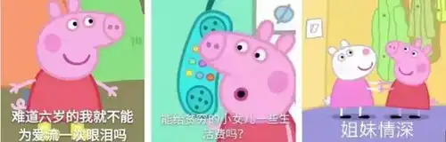  潮人检验2017年度表情包网络流行语大盘点