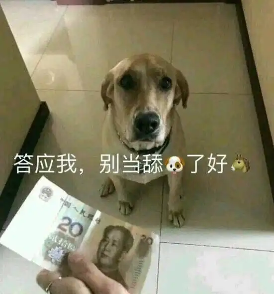  舔狗舔到最后一无所有是什么意思表情包分享