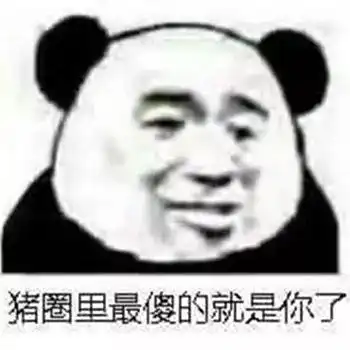  每日表情微信聊天斗图