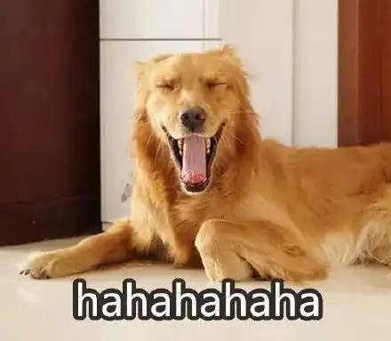  带狗春游很开心铲屎的哭晕在山上