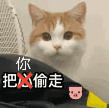  兰理鲲鹏c语言简单的括号匹配问题括号配对问题c语言